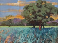 1_AGAVE-AZUL-OIL-16.5X13.5