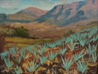 1_TEQUILA-OIL-20X17