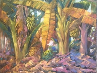 PLATANAL-OIL-43.3X35.5