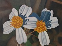 10-ACEITILLA-OIL-24X30