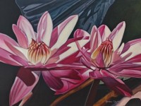 11-FLOR-DE-LOTO-OIL-20X28