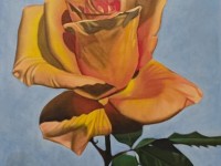 12-ROSA-AMARILLA-CON-LUZ-OIL-27X22