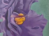 13-HORTENCIA-OIL-18X24