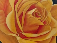 15-ROSA-AMARILLA-OIL-18X18