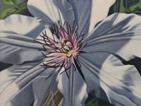 16-FLOR-DE-CANADA-OIL-18X18