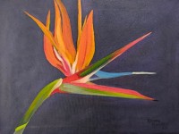 18-AVE-DE-PARAISO-OIL-16X12