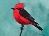 20-PAJARO-ROJO-OIL-12X10