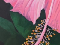 22-HIBISCO-ROSA-OIL-39X20