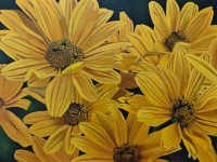 25-GIRASILILLO-OIL-30X40