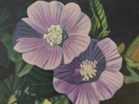 3-MALVA-DE-CASTILLA-OIL-24X24