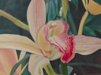 4-ORQUIDEA-DE-PANTANO-OIL-24X24