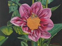 8-DALIA-OIL-24X30