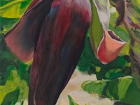 11-BANANA-FLOWER-OIL-12X16