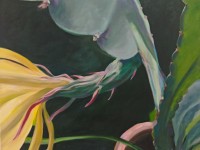 14-ORCHID-LILLY-OIL-20X30